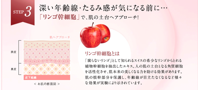リンゴ幹細胞